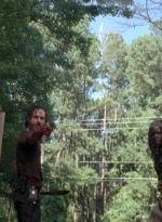 twd0509-2556.jpg