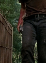 twd0509-2562.jpg