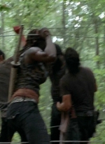 twd0509-2597.jpg