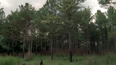 twd0510-0692.jpg