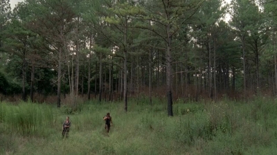 twd0510-0697.jpg