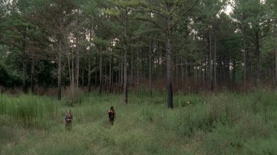 twd0510-0700.jpg