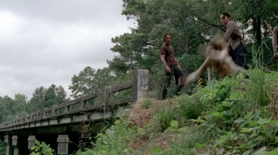 twd0510-0916.jpg