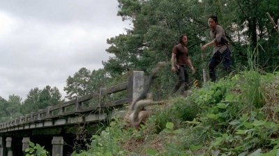 twd0510-0917.jpg