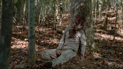 twd0510-1330.jpg