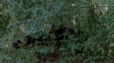 twd0510-1434.jpg