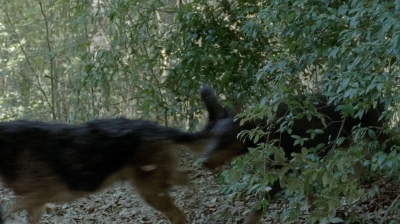 twd0510-1436.jpg