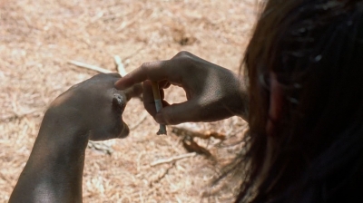 twd0510-1977.jpg