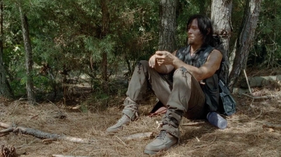 twd0510-2006.jpg