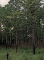 twd0510-0693.jpg