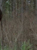 twd0510-0702.jpg
