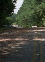 twd0510-1038.jpg