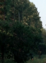 twd0510-1092.jpg