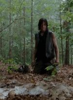 twd0510-1312.jpg