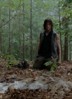 twd0510-1314.jpg