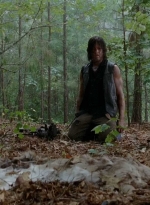 twd0510-1315.jpg