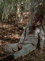twd0510-1333.jpg