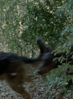 twd0510-1436.jpg
