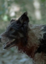 twd0510-1437.jpg