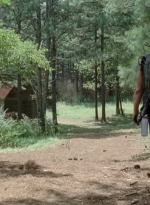 twd0510-1876.jpg