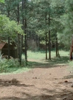 twd0510-1881.jpg