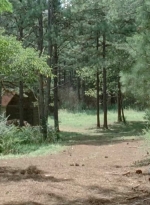 twd0510-1888.jpg