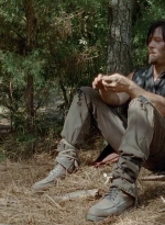 twd0510-1993.jpg
