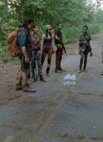 twd0510-2113.jpg