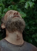 twd0510-2136.jpg