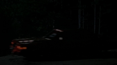 twd0511-1991.jpg
