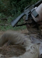 twd0511-1262.jpg
