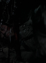 twd0511-2176.jpg