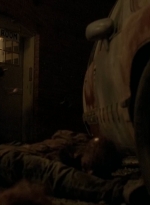 twd0511-2387.jpg