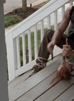 twd0512-1086.jpg