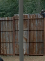 twd0512-2301.jpg