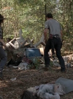 twd0512-2603.jpg