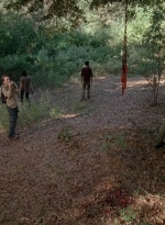 twd0512-2753.jpg