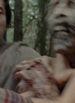 twd0512-2801.jpg