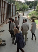 twd0512-2913.jpg