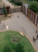 twd0512-2934.jpg