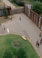 twd0512-2935.jpg