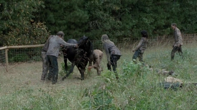 twd0513-1475.jpg