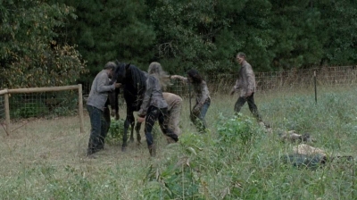 twd0513-1477.jpg