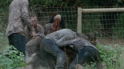 Click to view full size image
==============
twd0513-1489.jpg twd0513-1489.jpg
