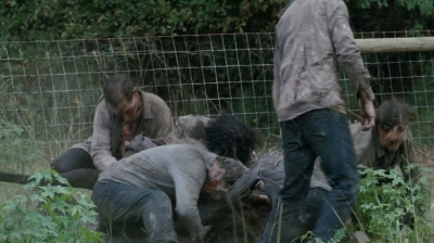 twd0513-1490.jpg