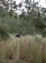 twd0513-0893.jpg