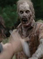 twd0513-1020.jpg