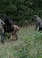 twd0513-1474.jpg