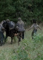 twd0513-1476.jpg