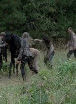 twd0513-1477.jpg